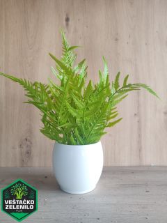  InShot_20230324_150958791_resize.jpg