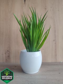  InShot_20230324_151135598_resize.jpg