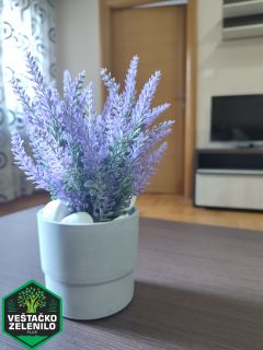  InShot_20230324_151403472_resize.jpg