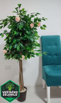  InShot_20230324_144454337_resize.jpg