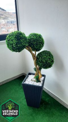  InShot_20230324_145316875_resize.jpg